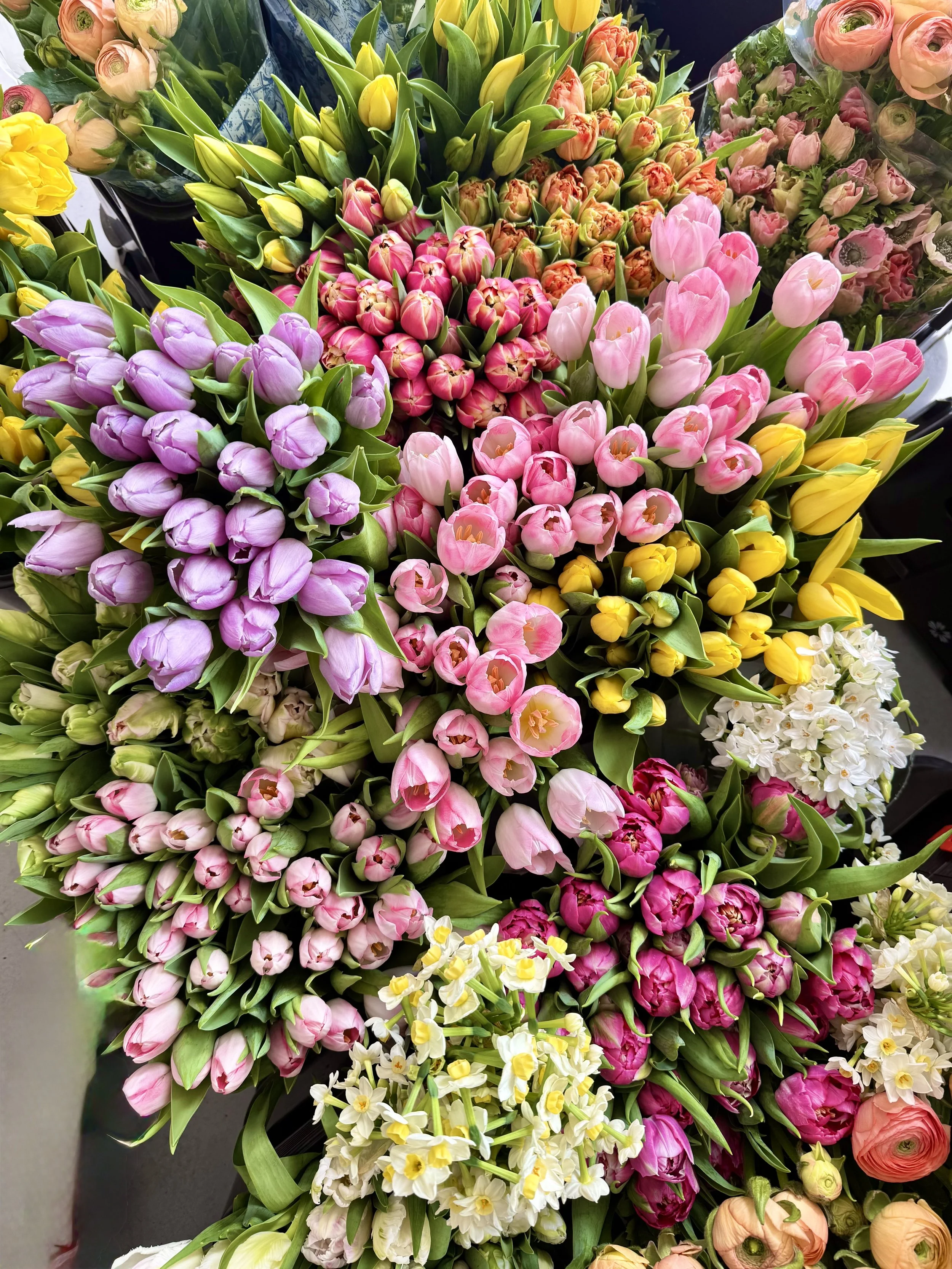 Colorful bouquets of mixed tulips, ranunculus, and daffodils in pink, purple, yellow, orange, and white, arranged together.