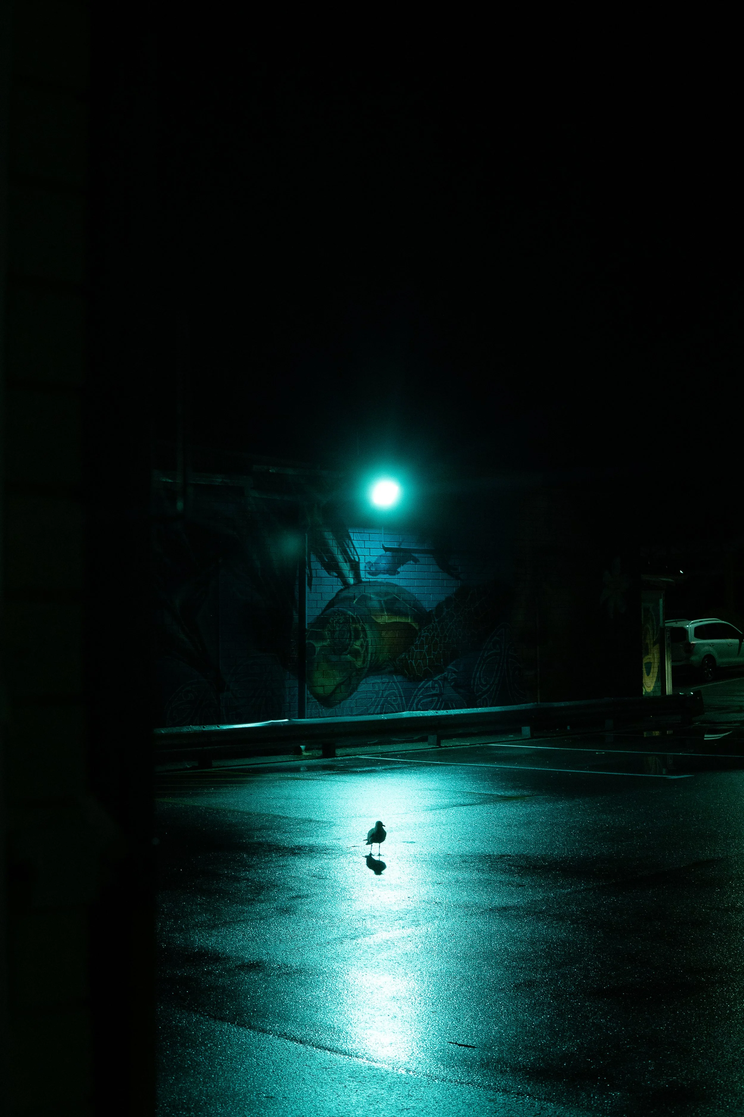 Alone.jpg