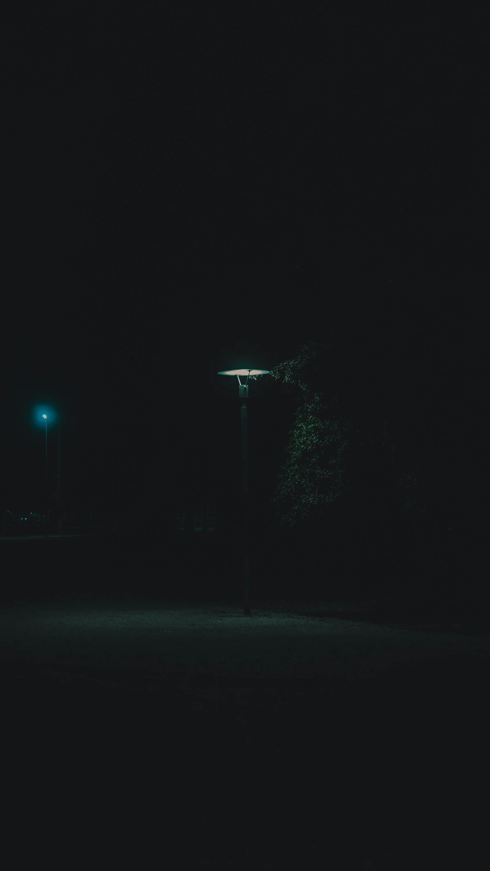 light.JPG