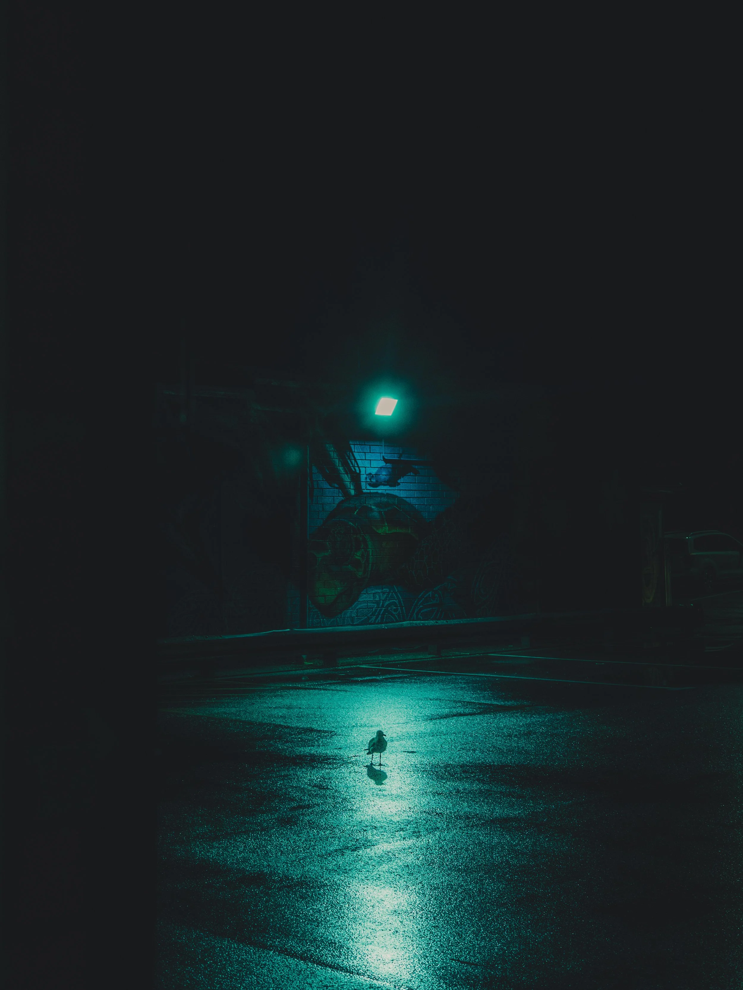 night visitor
