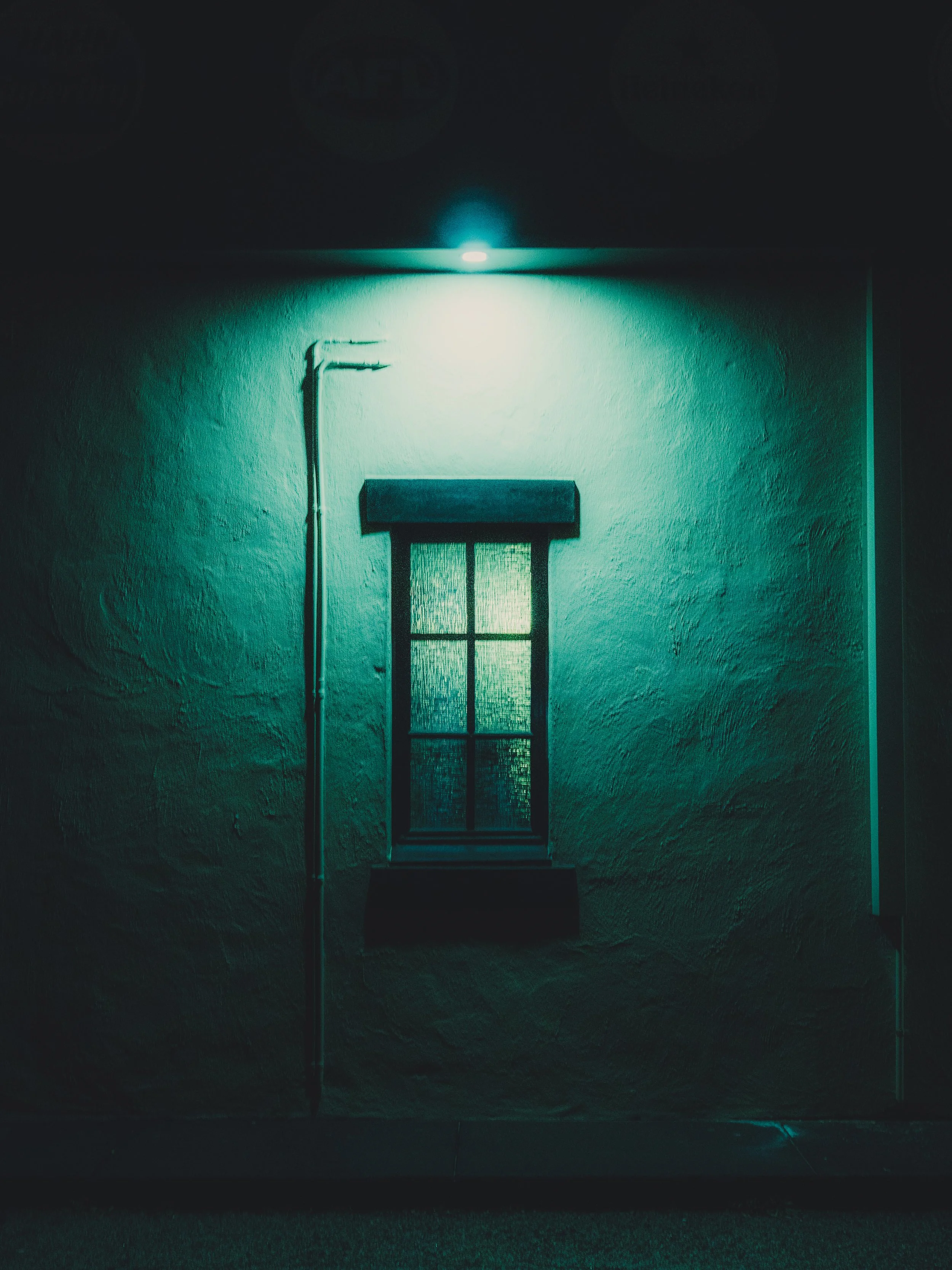 the window