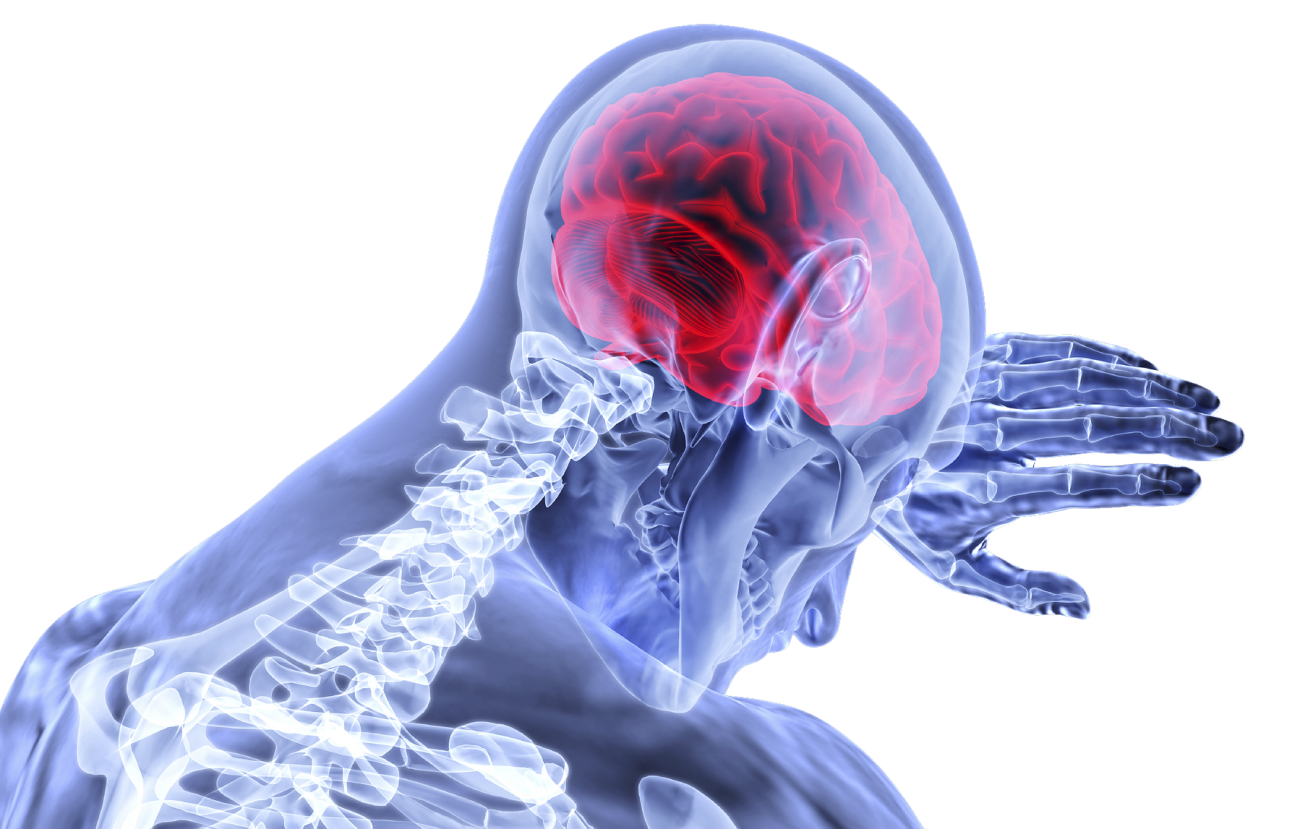 Comprehensive Stroke & TIA Clinic  The Stroke Clinic at Florida Neurovascular Institute (FNI) provides specialized, patient-