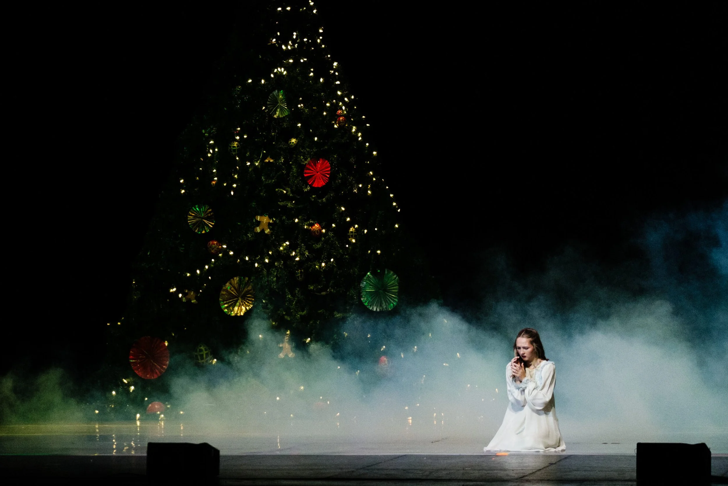 NPB-Nutcracker-2024-LoC-Photo-2024_12_12-168-scaled.jpg