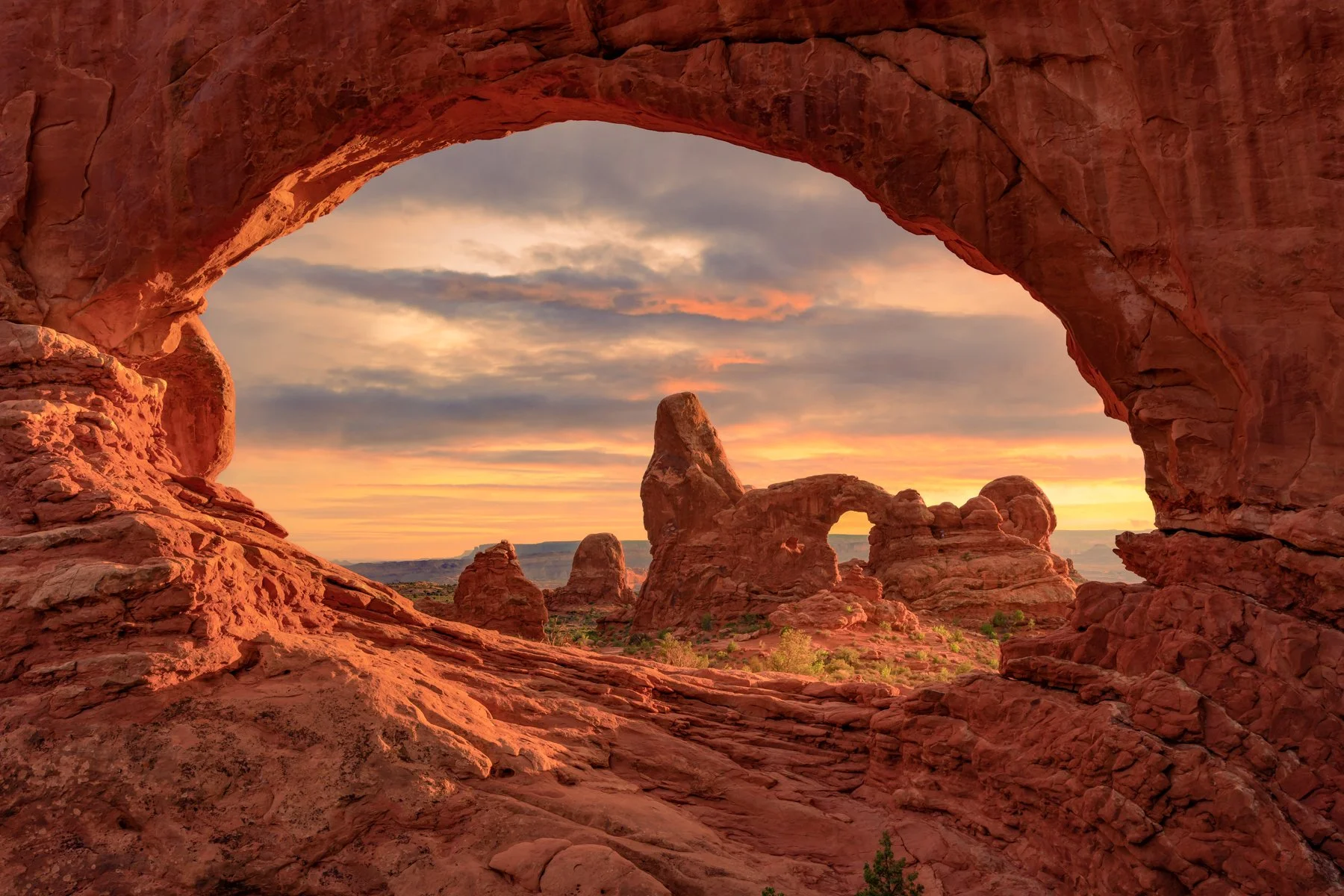 Window Arch IMG_6147-.jpg
