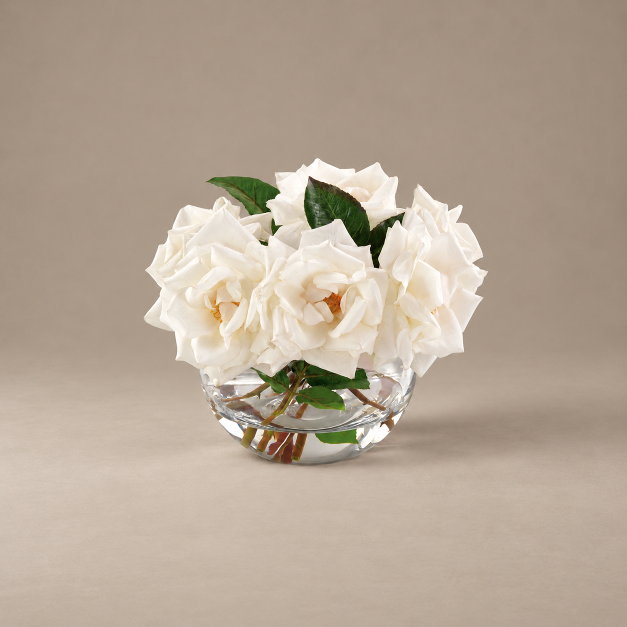 Garden Roses