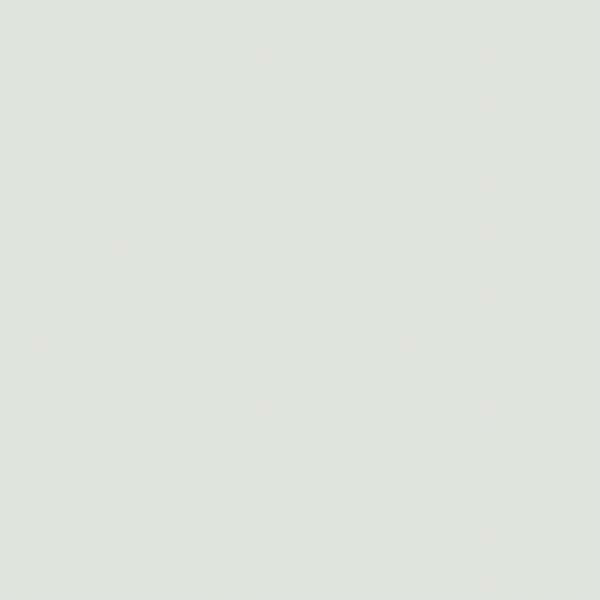Jiga Jiga Paint - Barramundi paint swatch