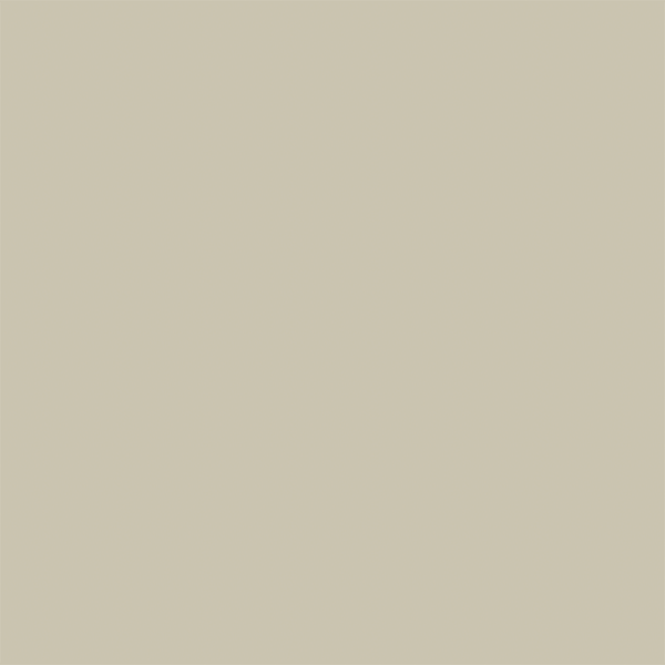 Jiga Jiga Paint - Wombat paint swatch