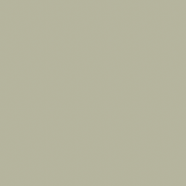 Jiga Jiga Paint - Bunyip paint swatch