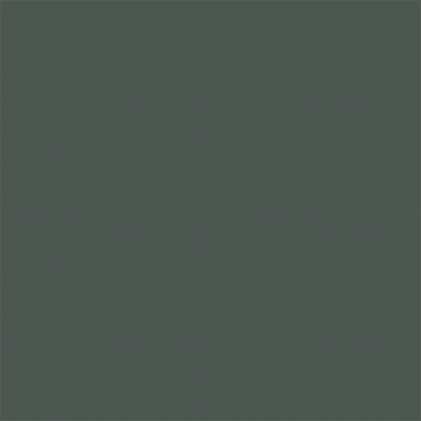 Jiga Jiga Paint - Dilly String paint swatch - whitetext
