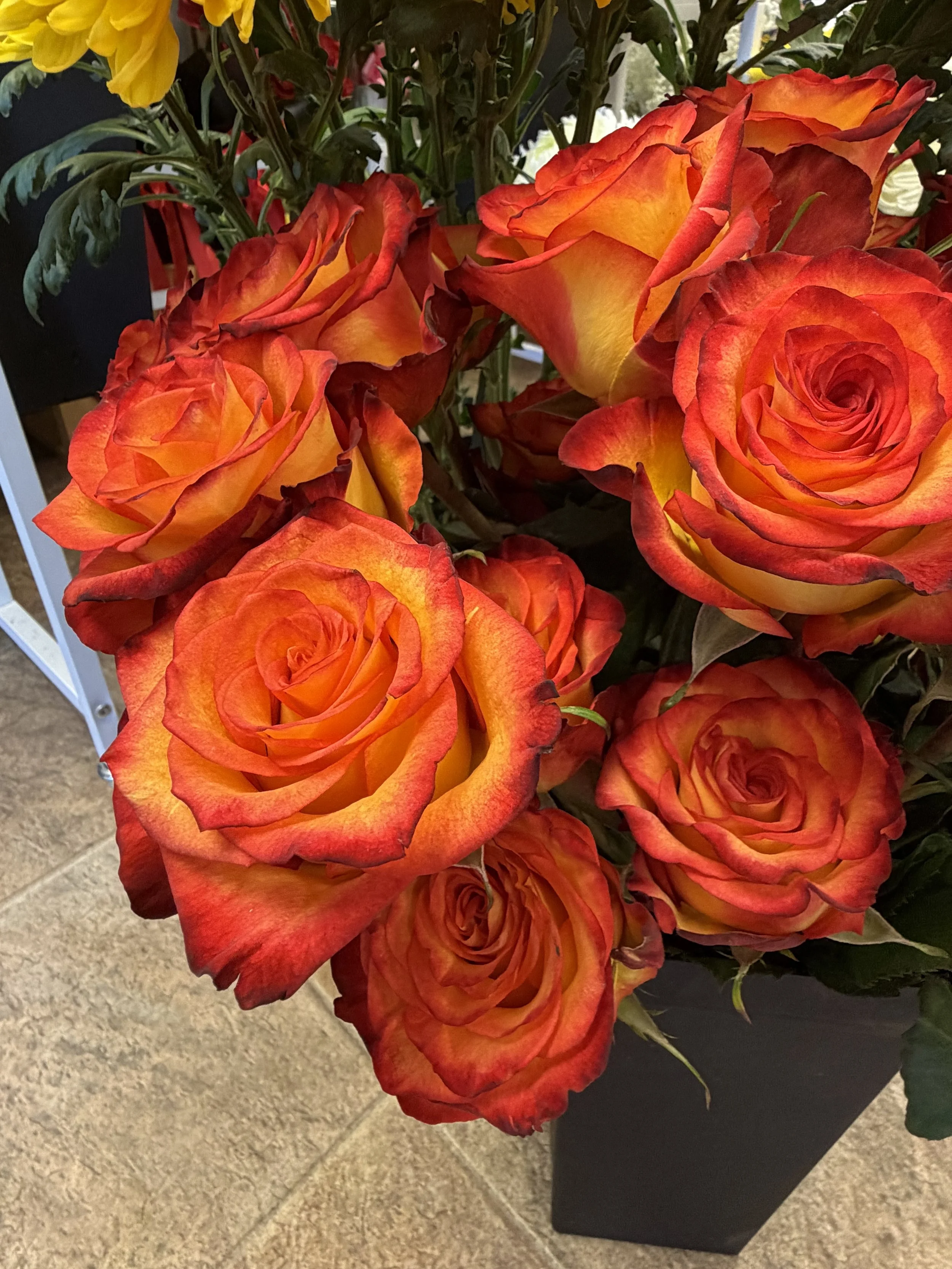 Close-up of a bouquet of orange and yellow roses with red edges in a black vase, placed on a tiled floor.
