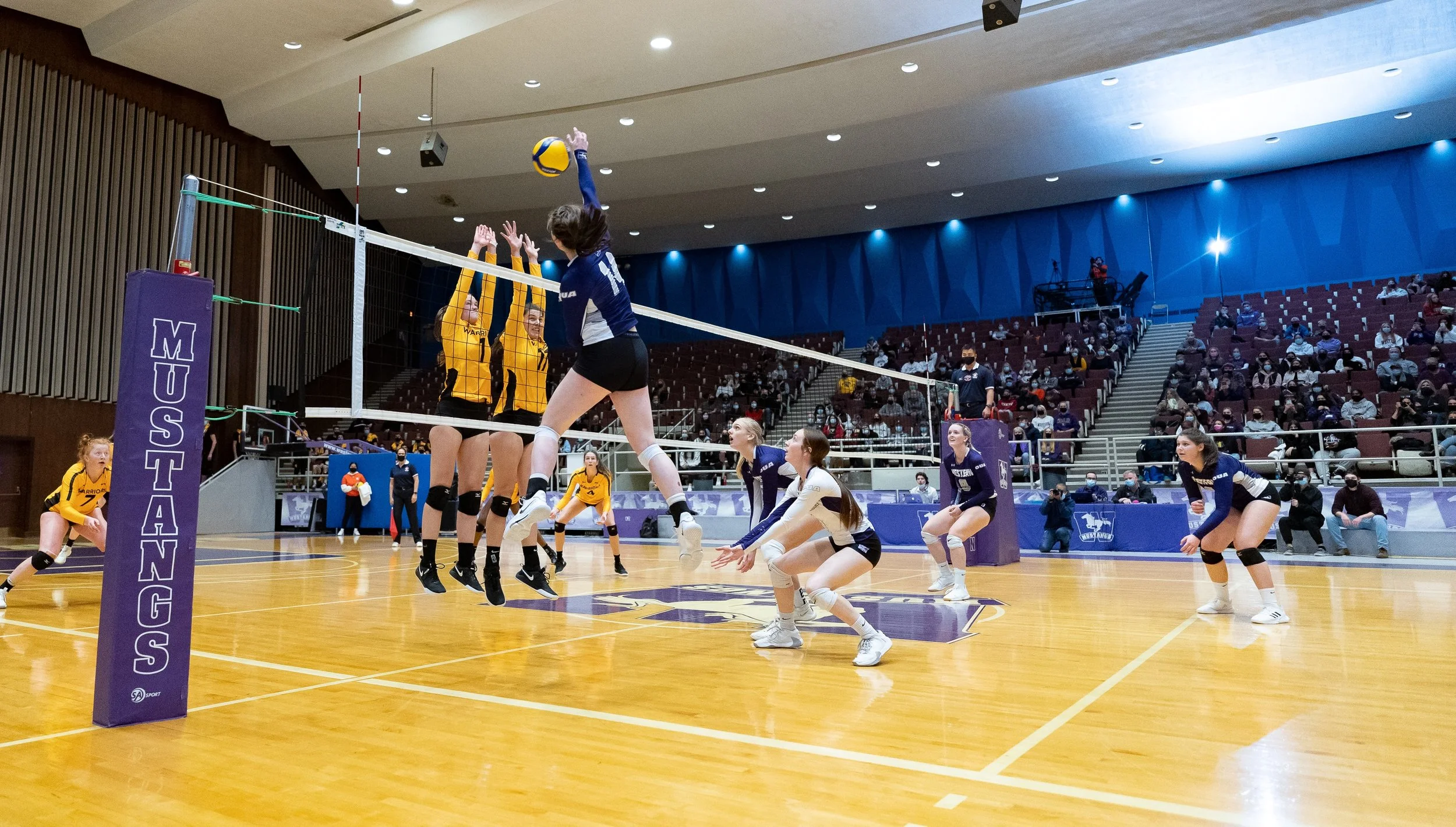 Janelle Albert playing volleyball, She launched ingersoll athletics. Playing volleyball at western university.