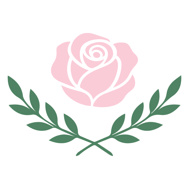 Light pink rose with green leafy branches beneath it.