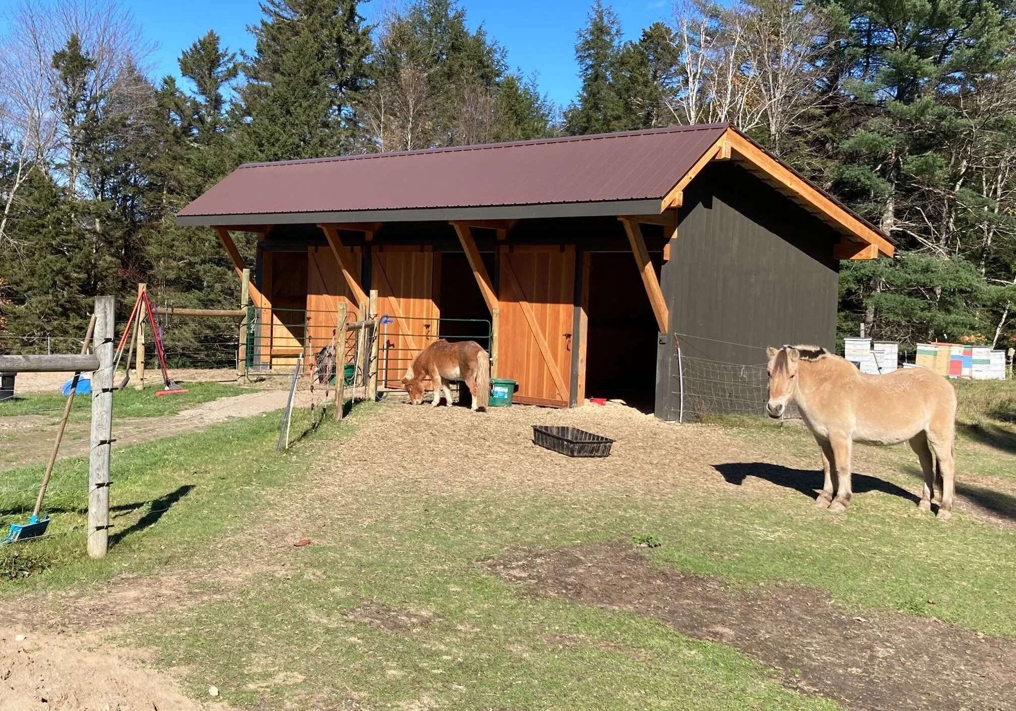 barn6.jpeg