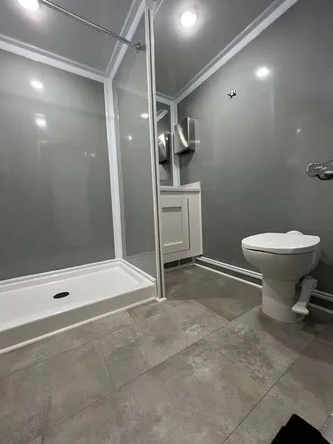 Bathroom with a shower, white vanity, and a toilet in a gray-walled room.