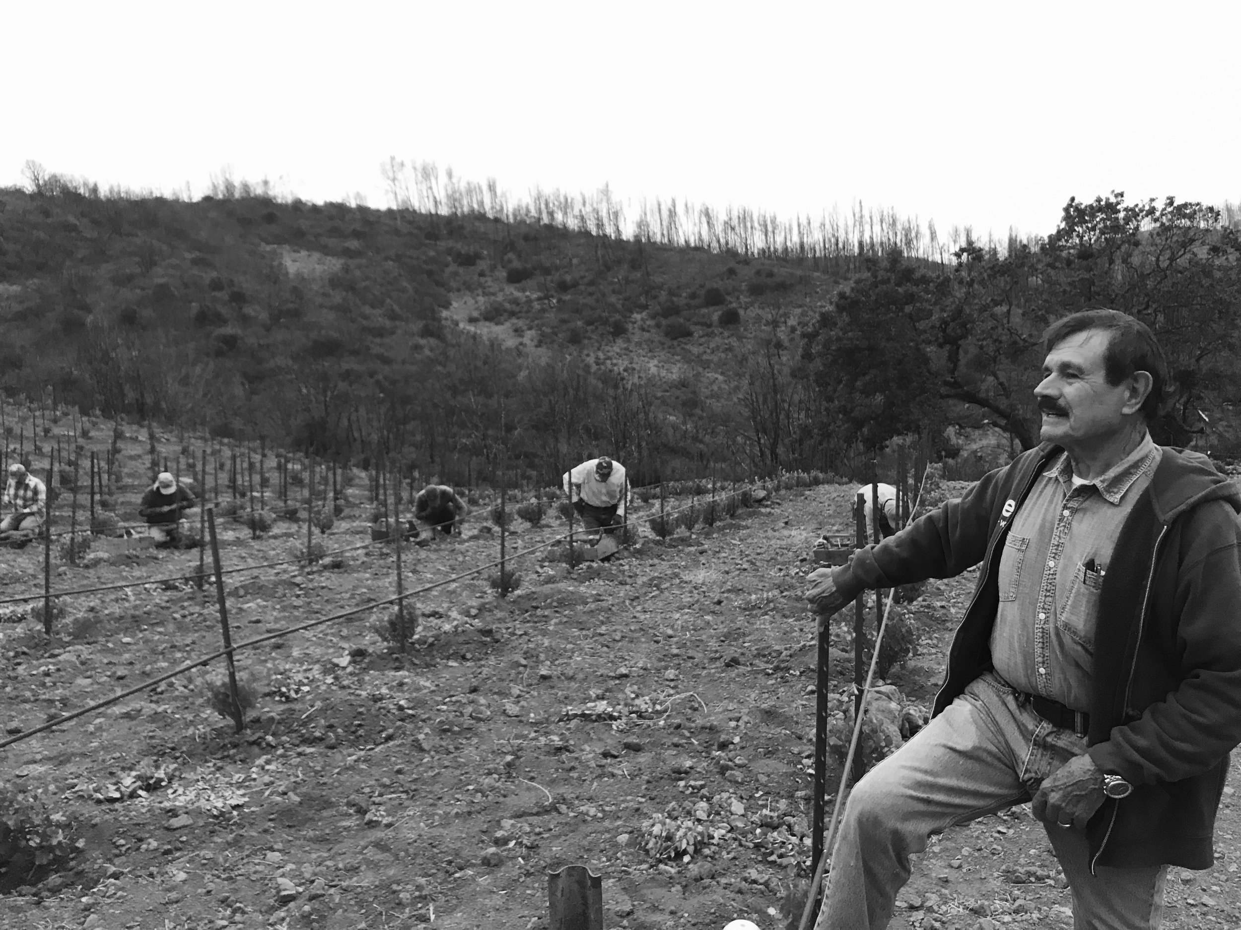 Salvador,  overseeing the budding since 1972