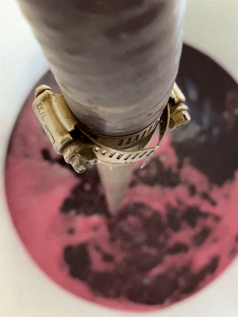 Zinfandel