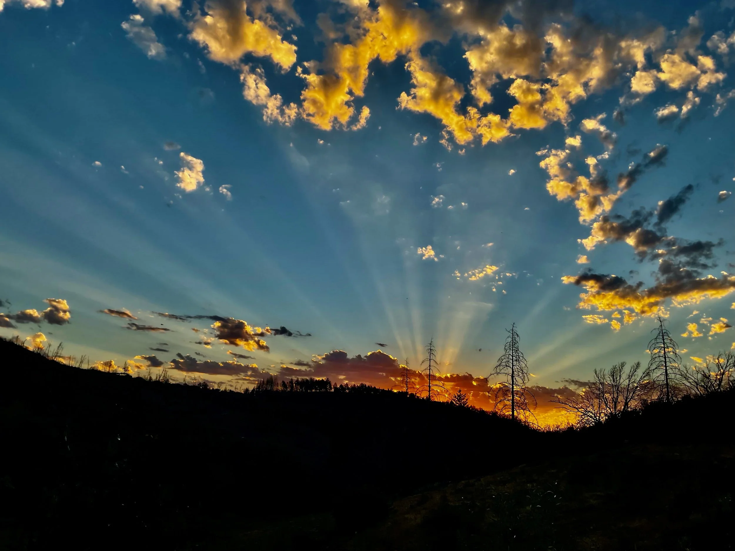 Sunrise over Sky Vineyards, 2018