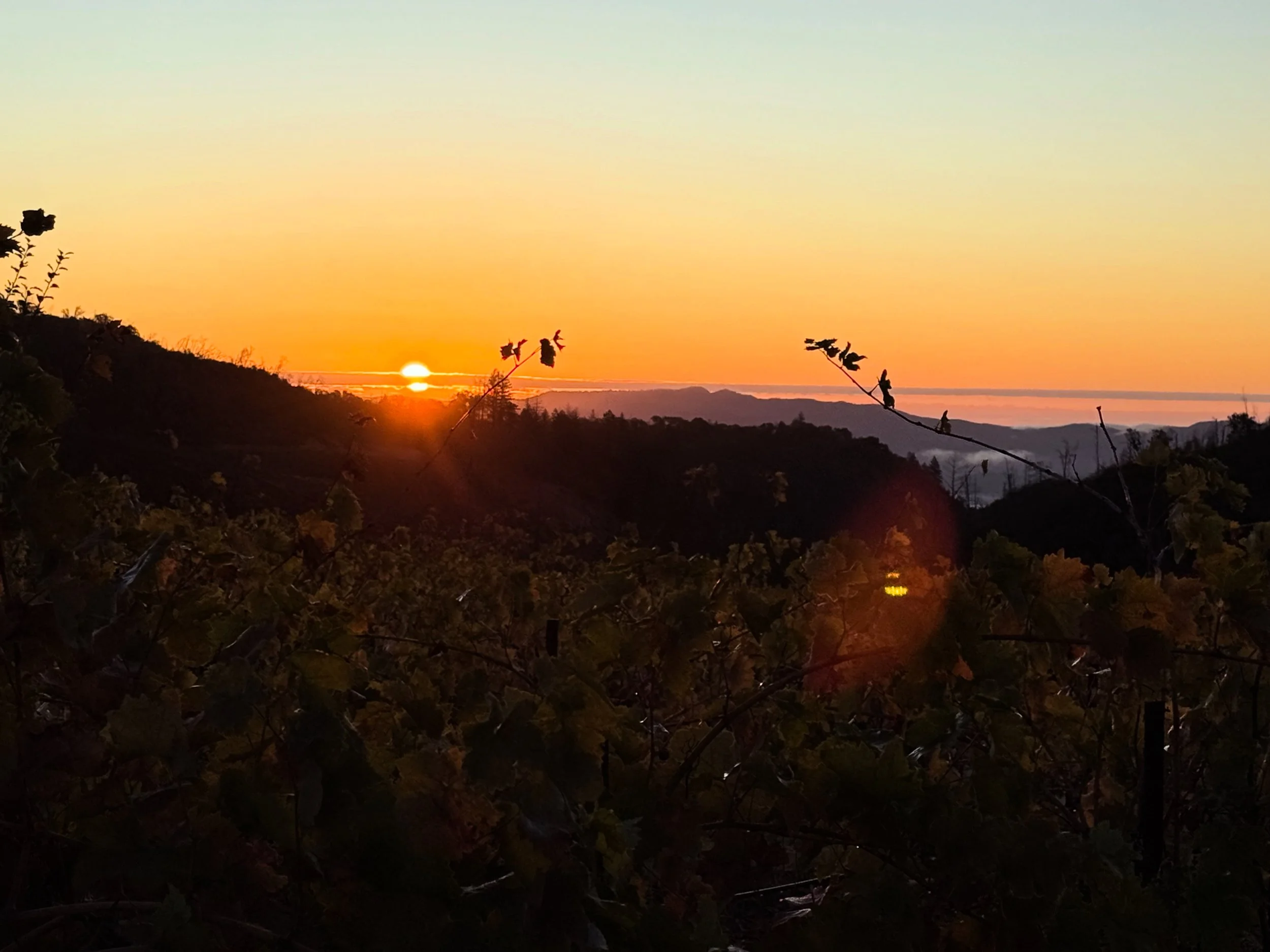 Sunrise on Mt. Veeder at Sky Vineyards