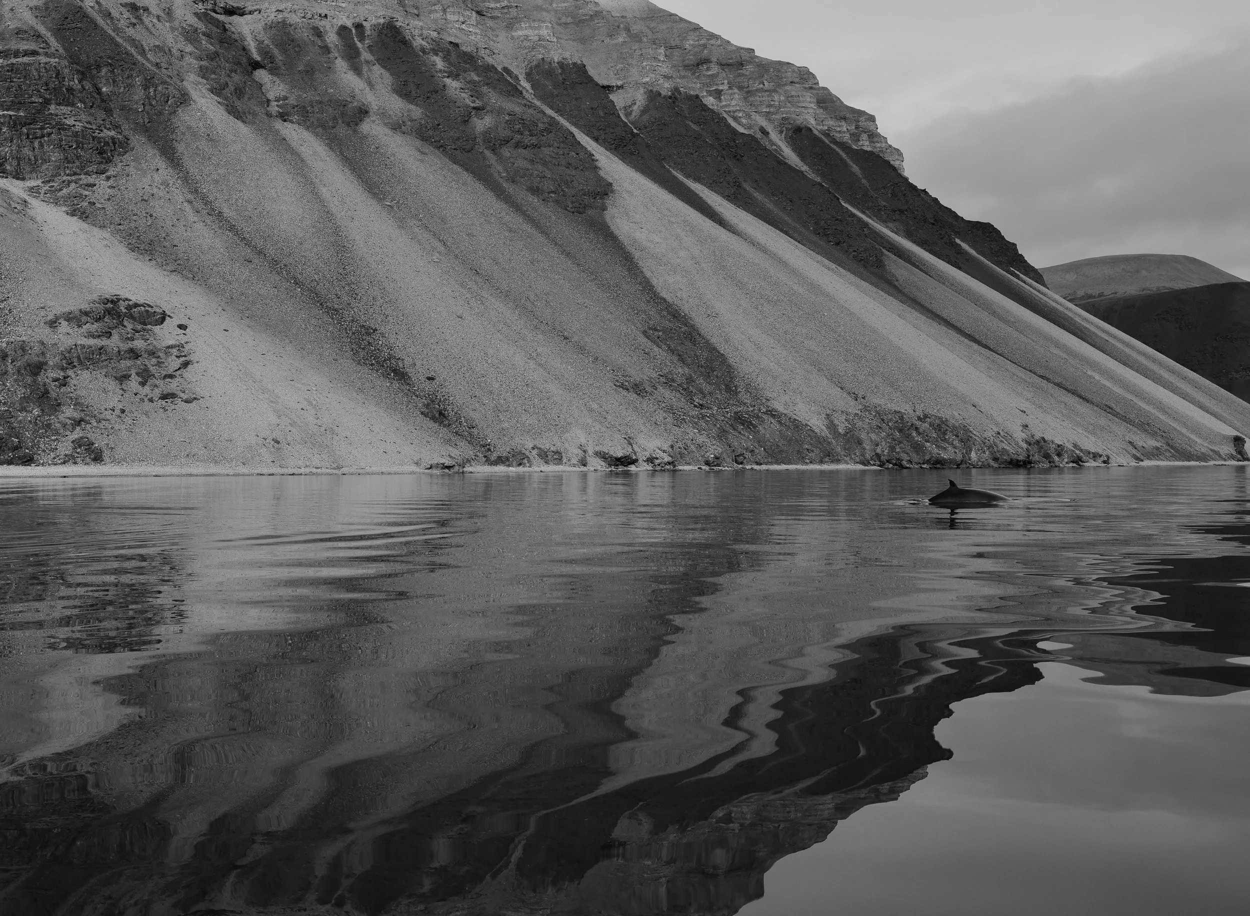 L1230176.jpg