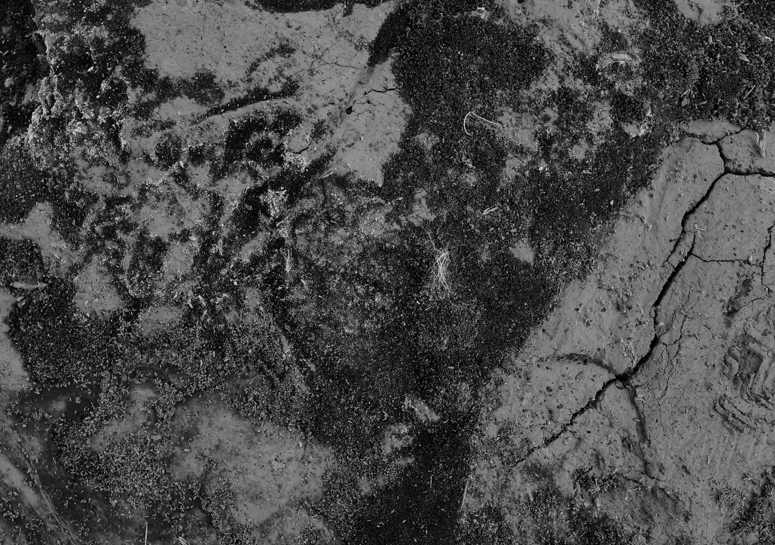 L1230079.jpg