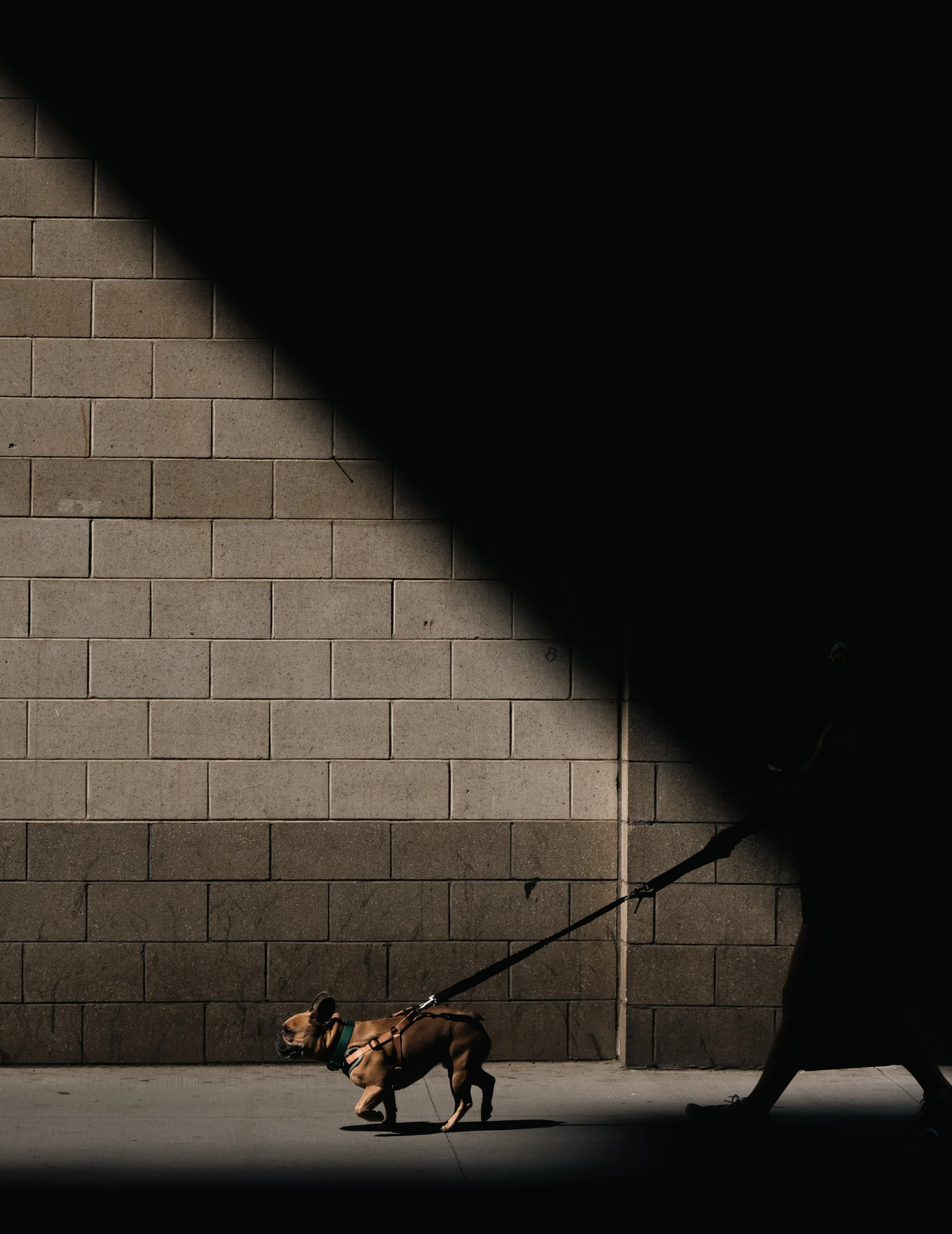 DSC_5989.JPG