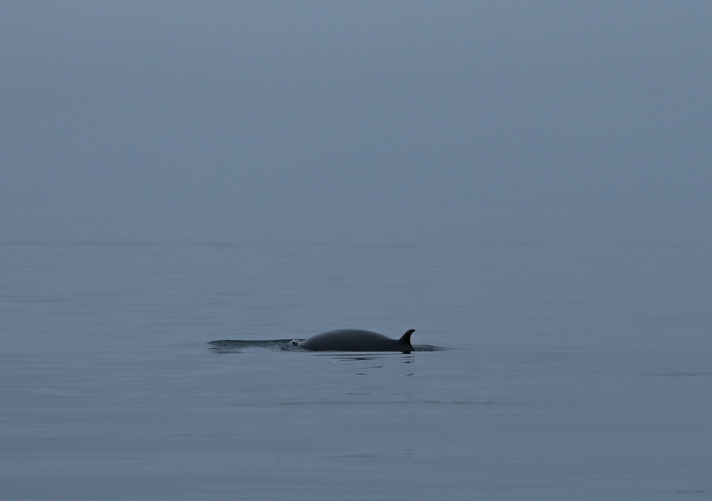 DSC_5110.jpg