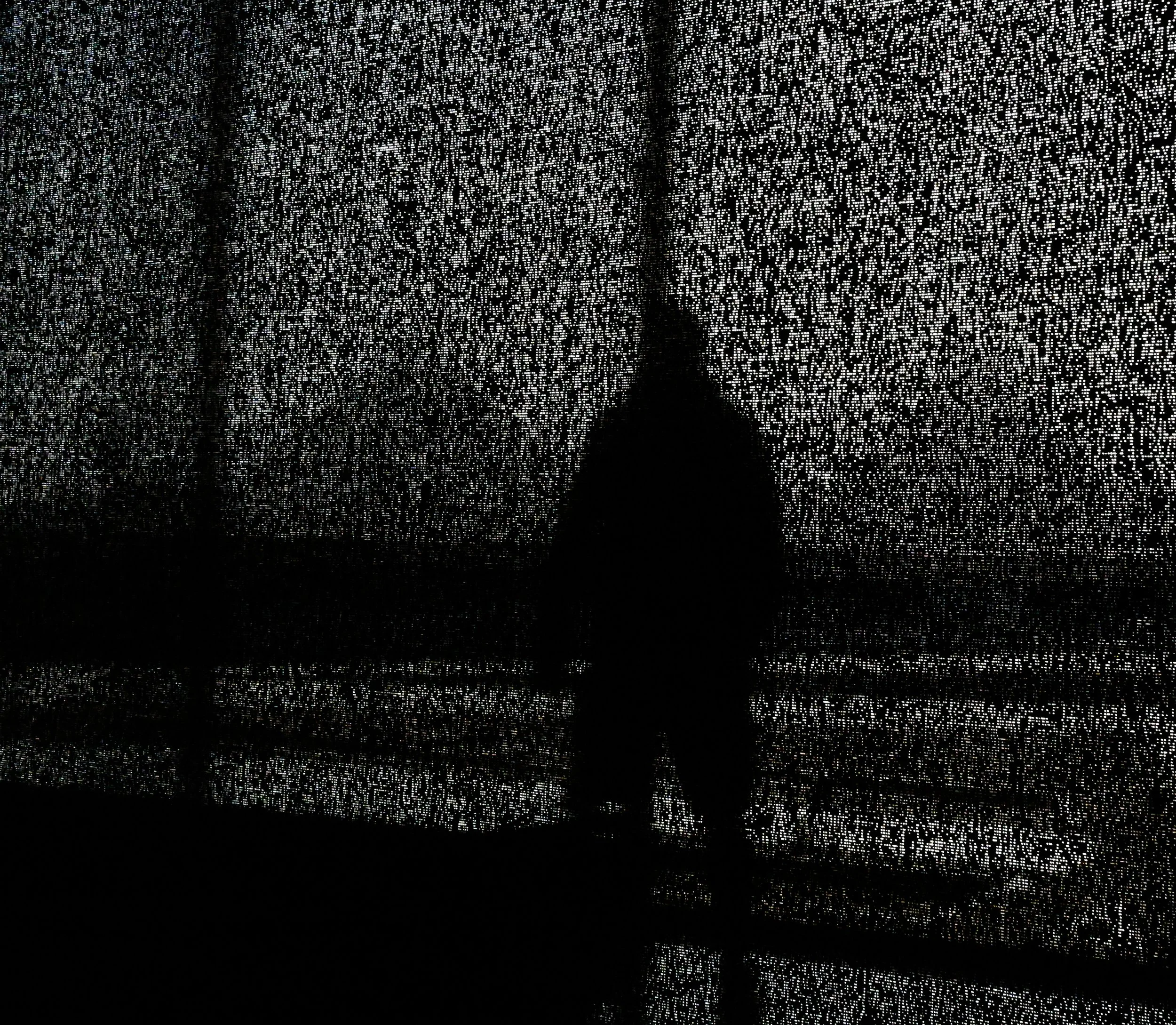 DSC_9697.JPG