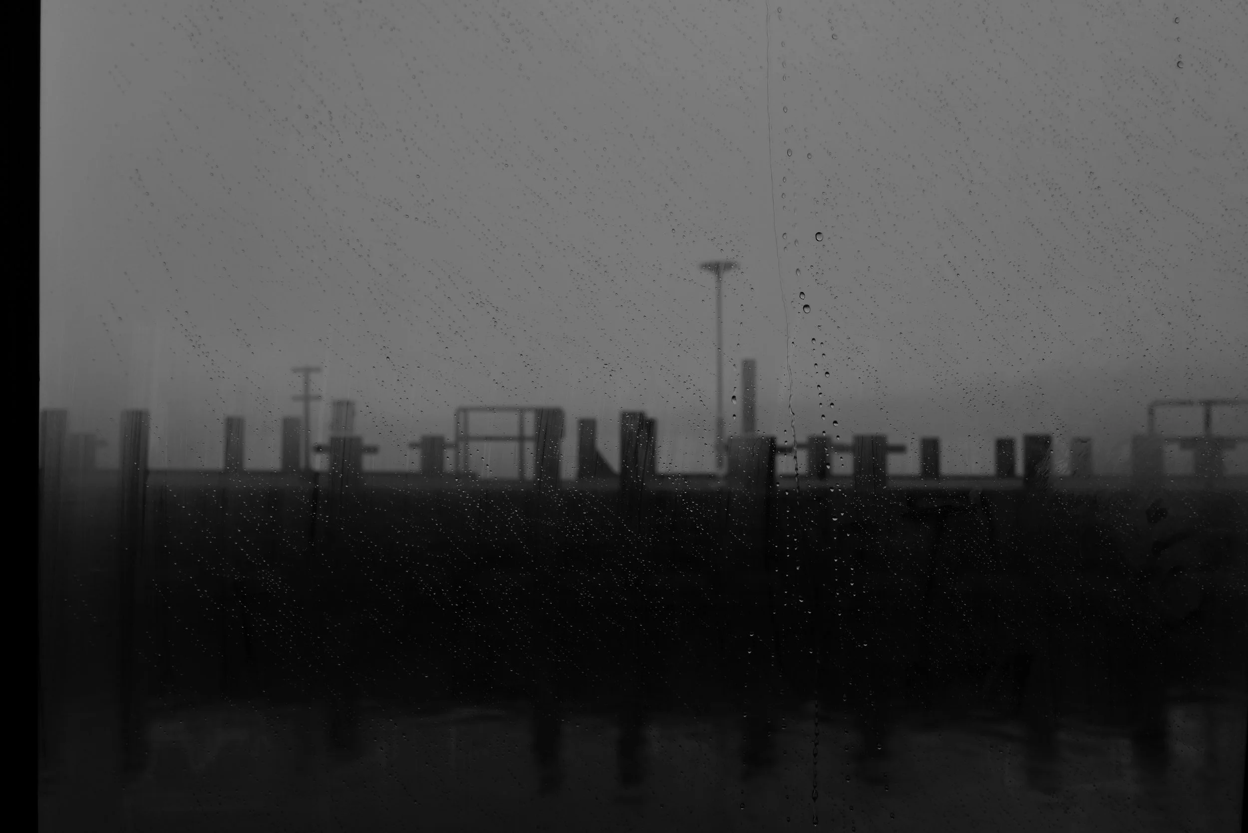 L1230796.jpg
