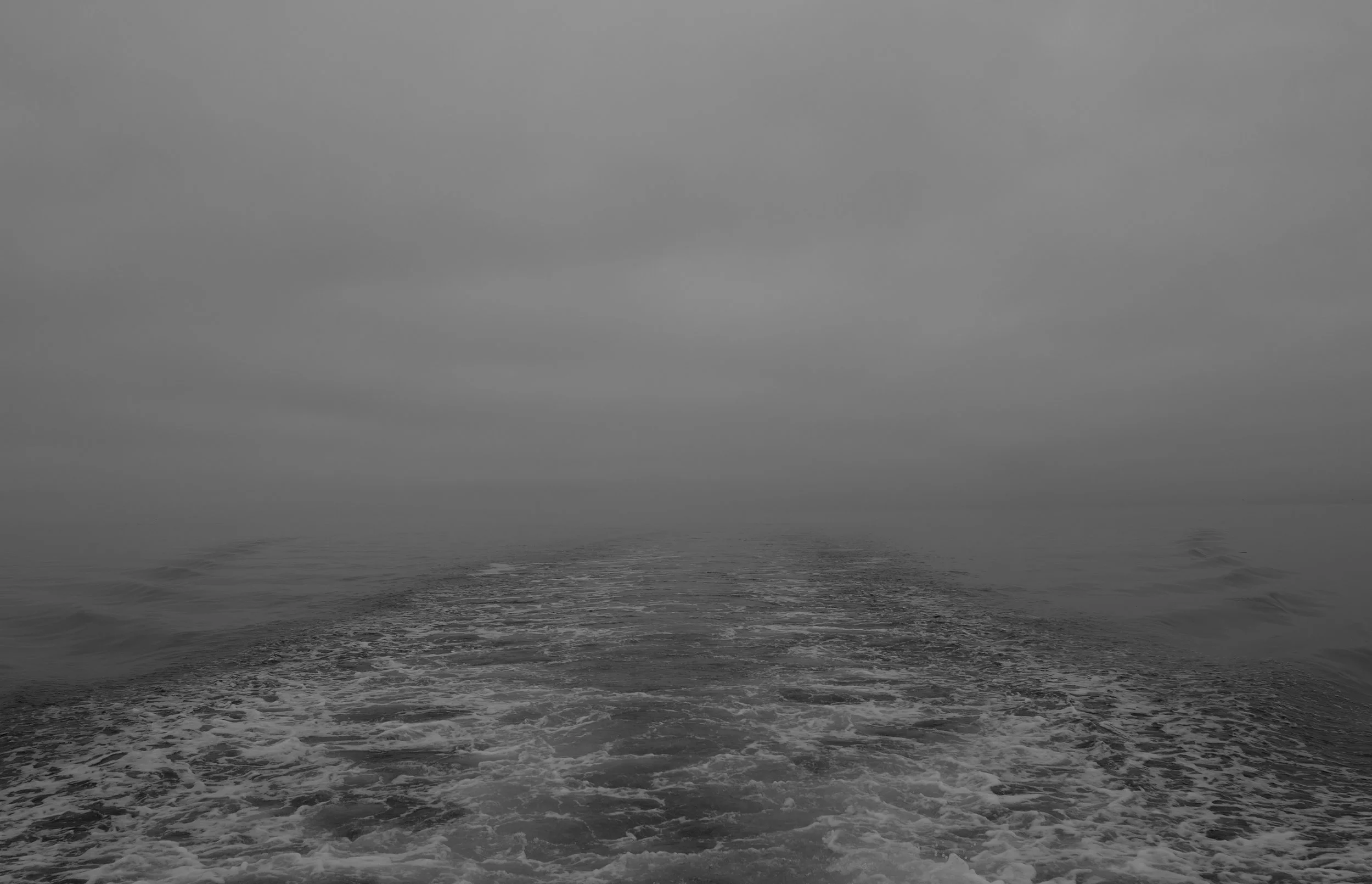 L1230707.jpg