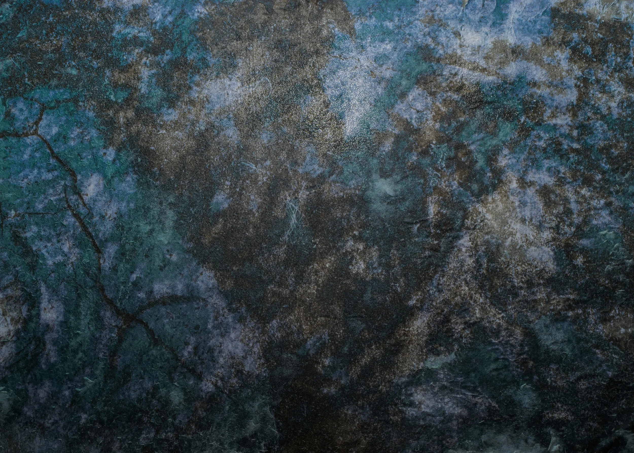 L1230422.jpg