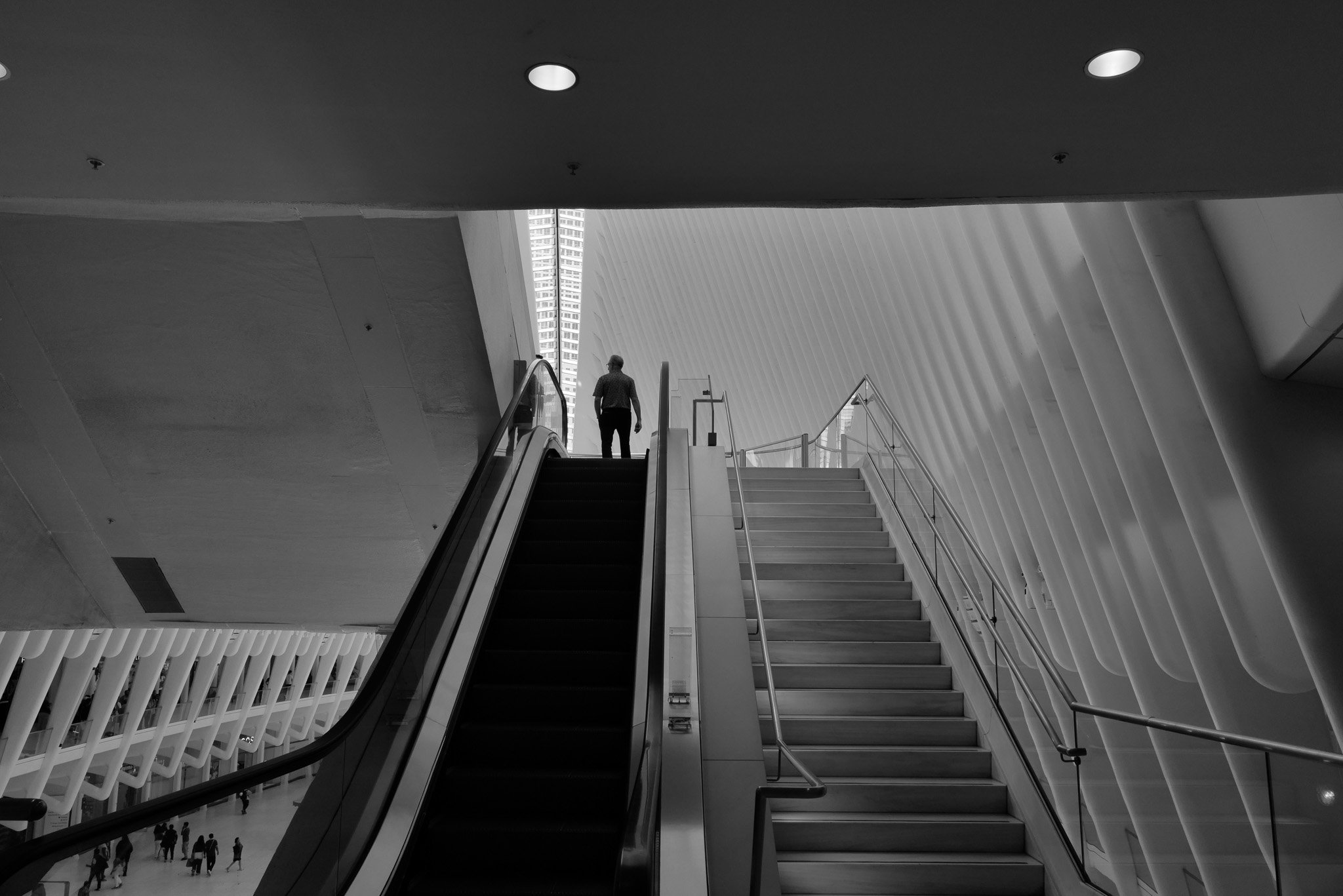 L1010021.JPG
