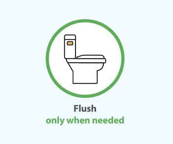 flushing.jpg