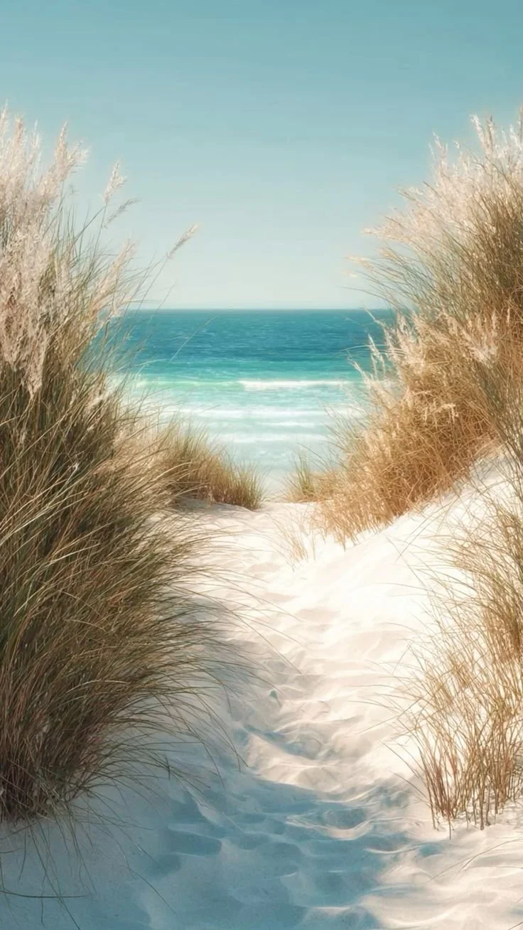 THE DUNE