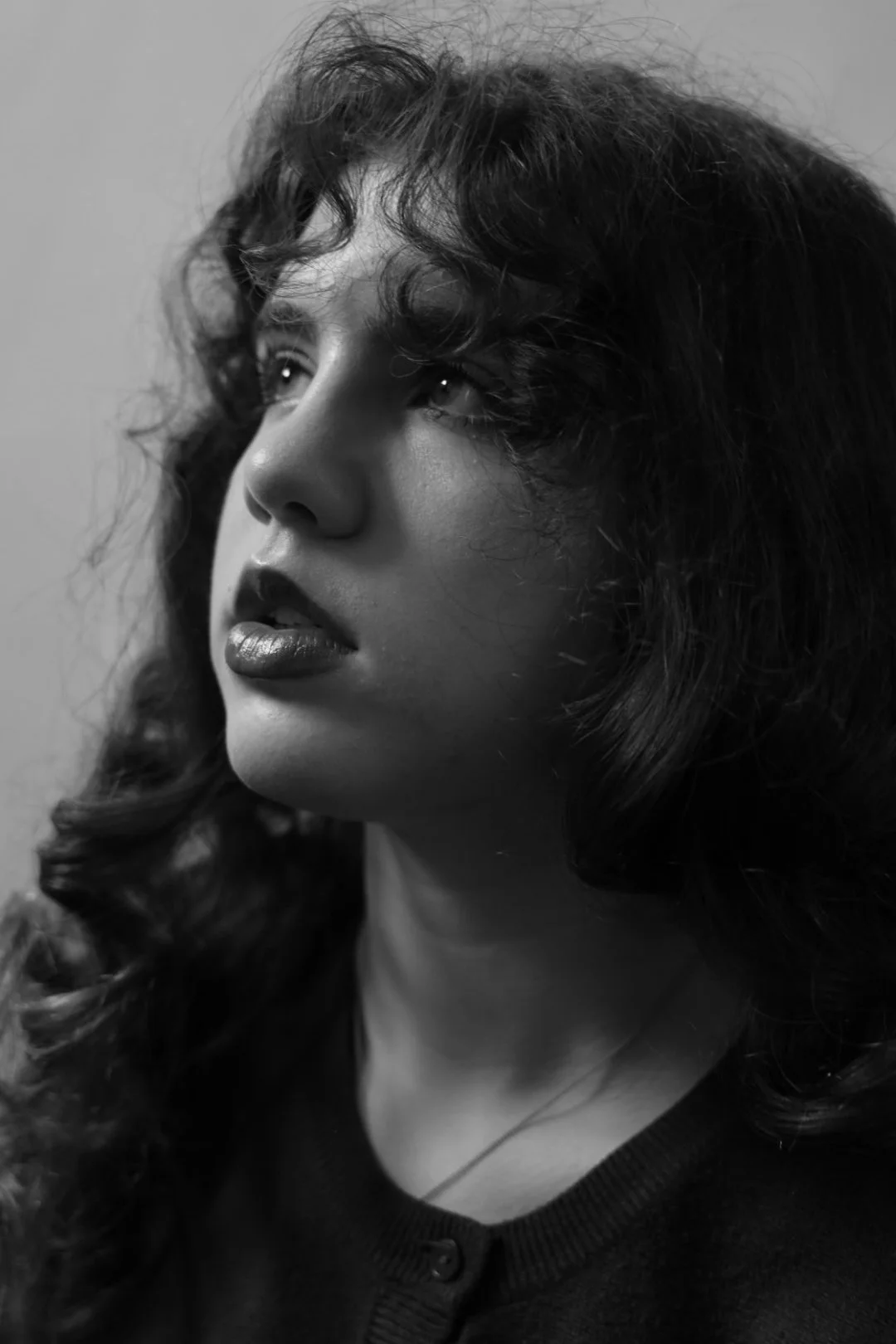 portraits