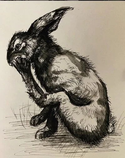 Inktober: the rabbit sketches