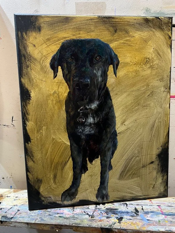 Don't Be Fooled: Black Dogs aren't Black