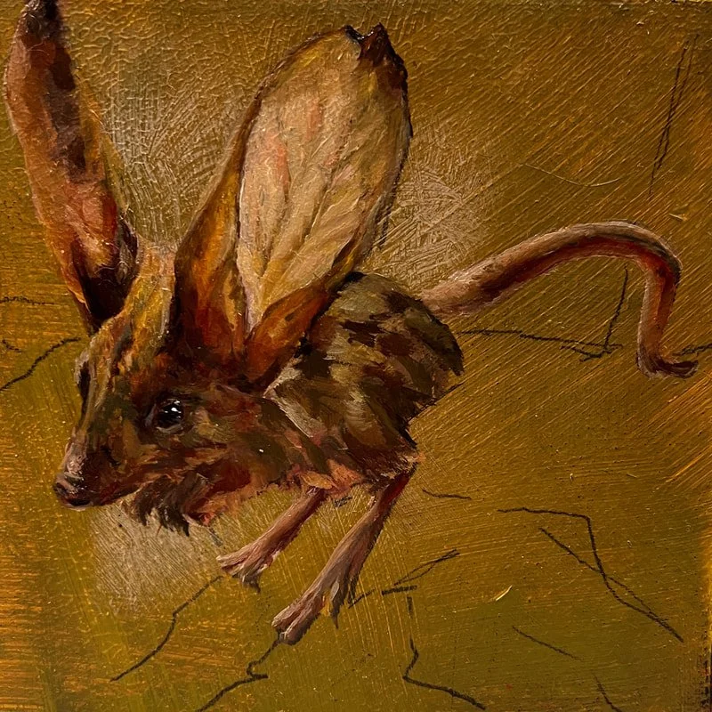 Back to the O.G Jerboa 1.0 5x5” in progress layer 2
