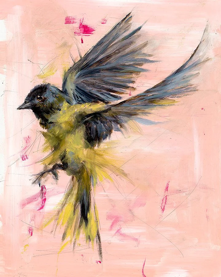 Finch Notes
