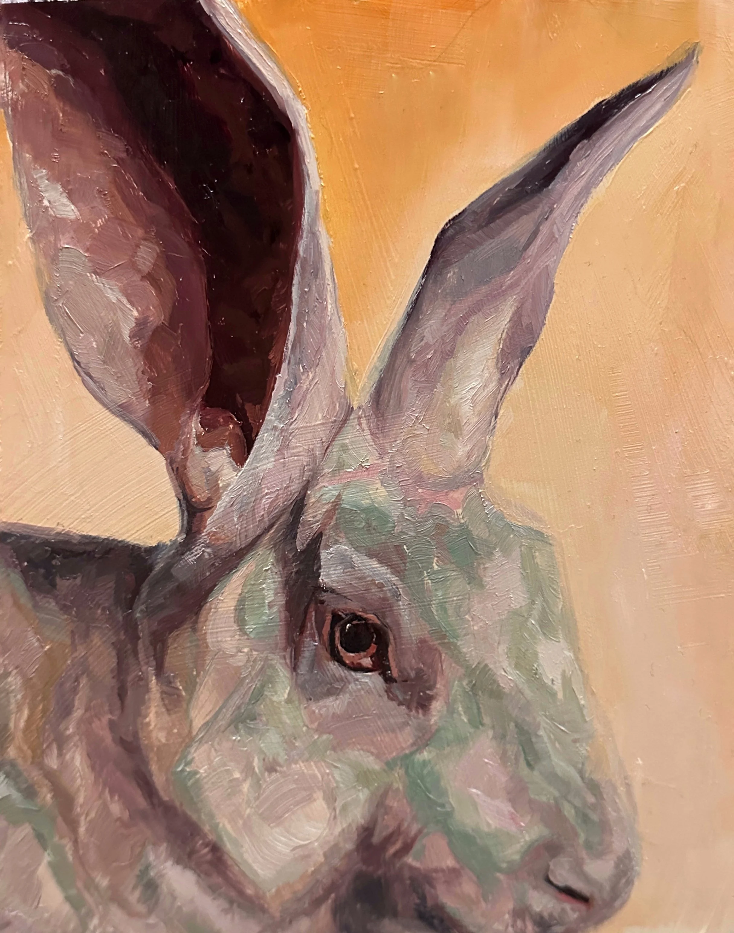 Chaos Bunny Study II