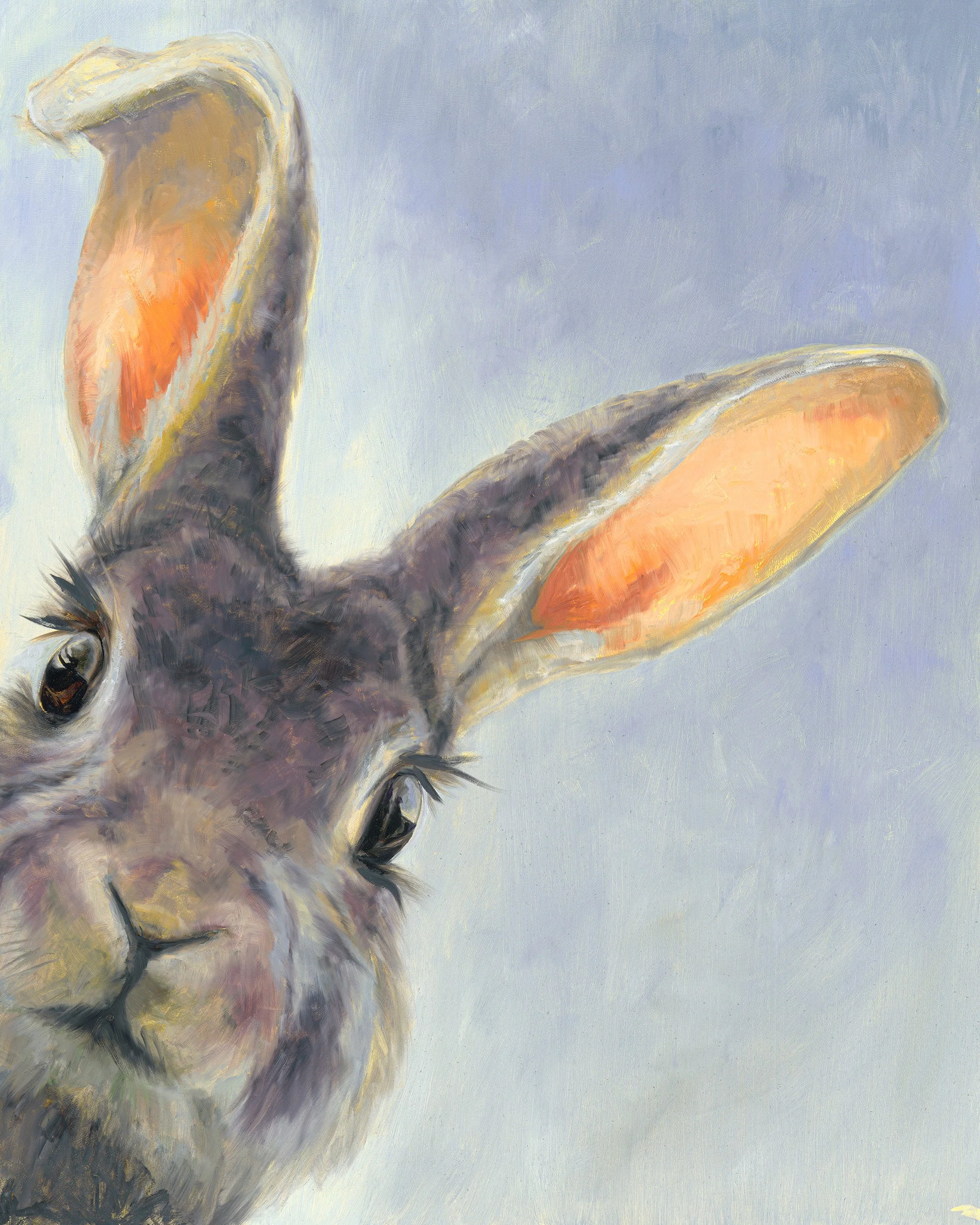 Chaos Bunny Portrait II