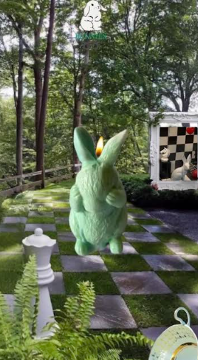 See Rabbit.png