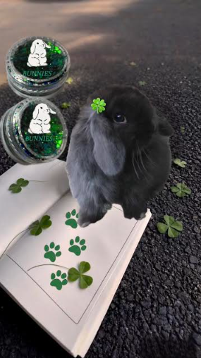 1pc Bunnies Green.png