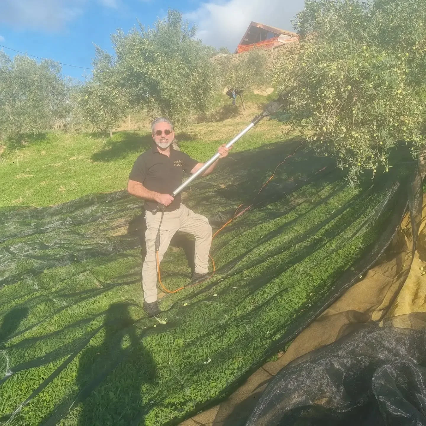 All in a day's work for the best quality Extra Virgin Olive Oil 🫒 Contact us for orders at ferrolio.oil@gmail.com