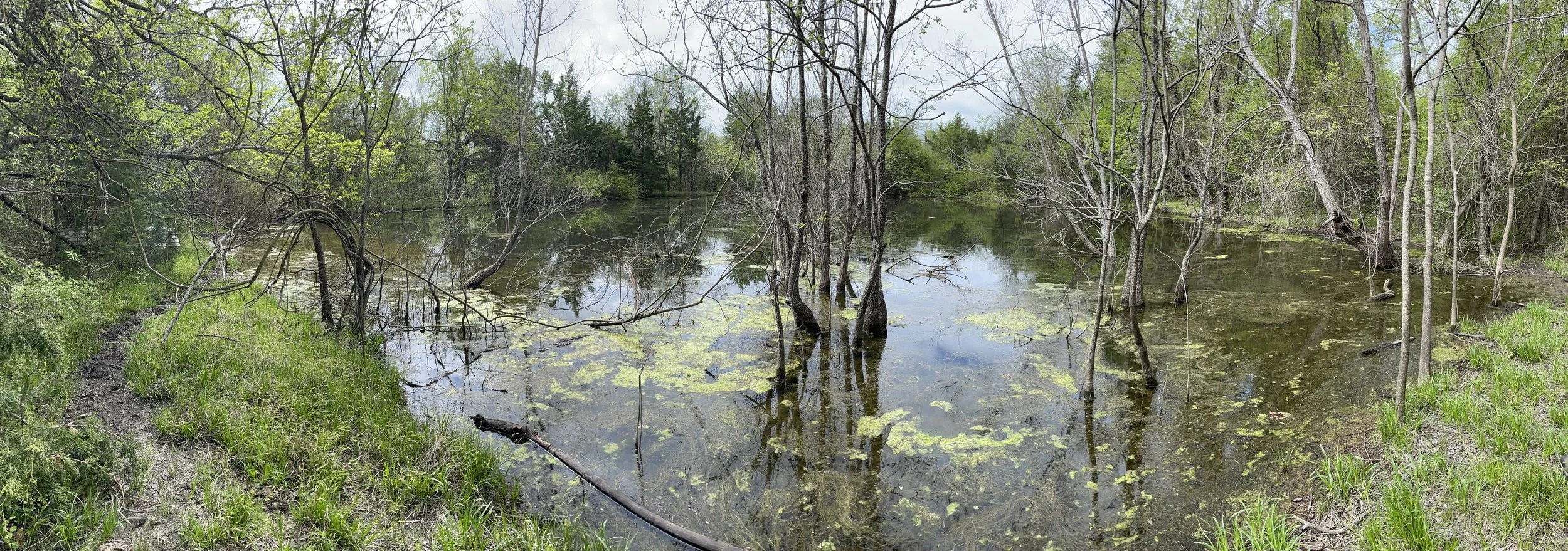 28_Pond 2.jpeg