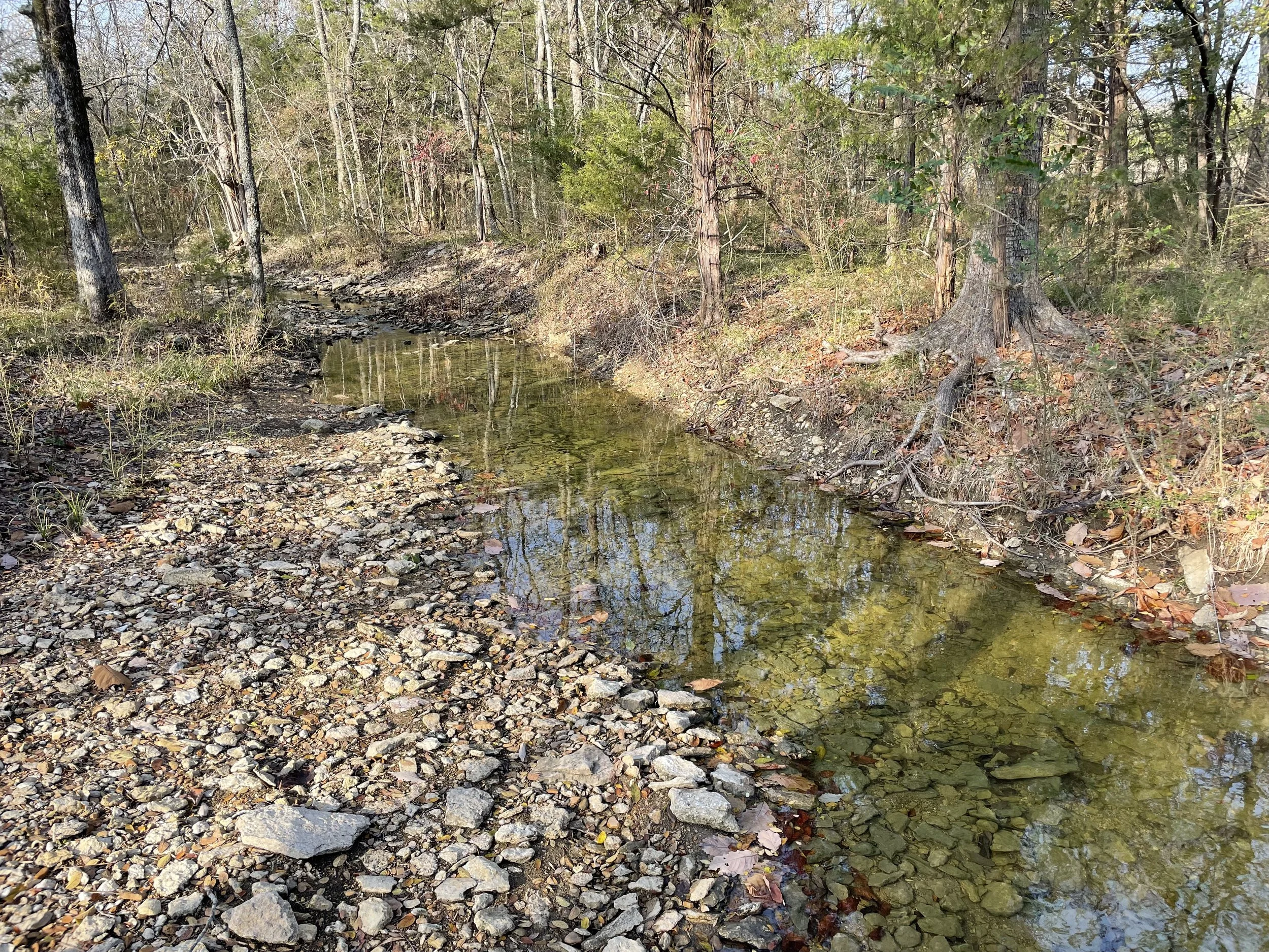 25_Creek 1.jpeg