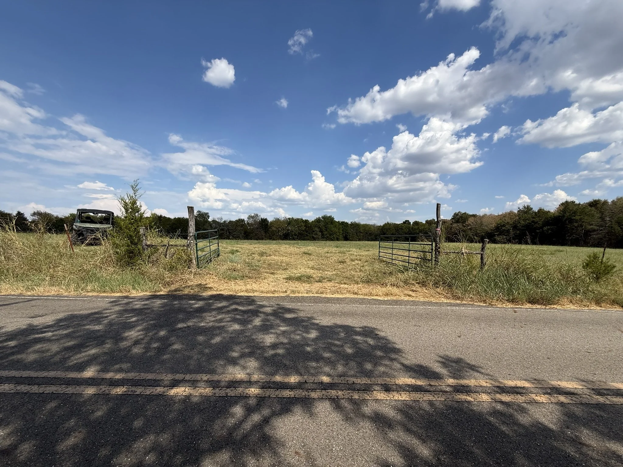 24_Pasture Gate.jpeg