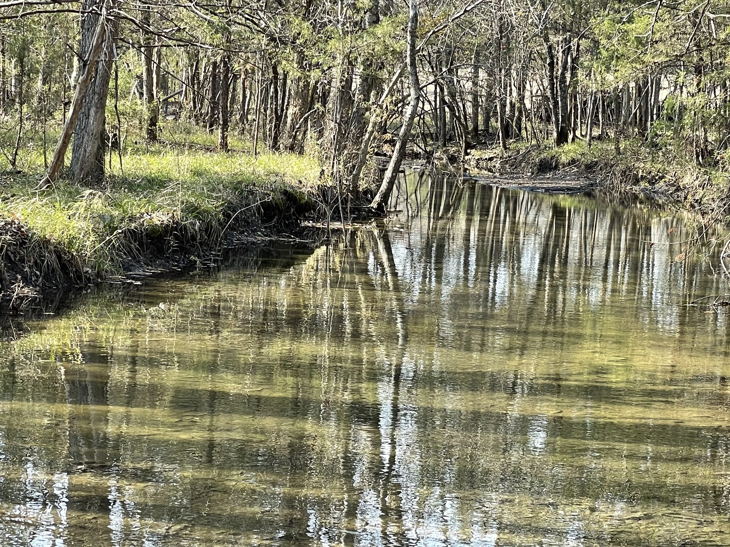 27_Creek 3.jpeg