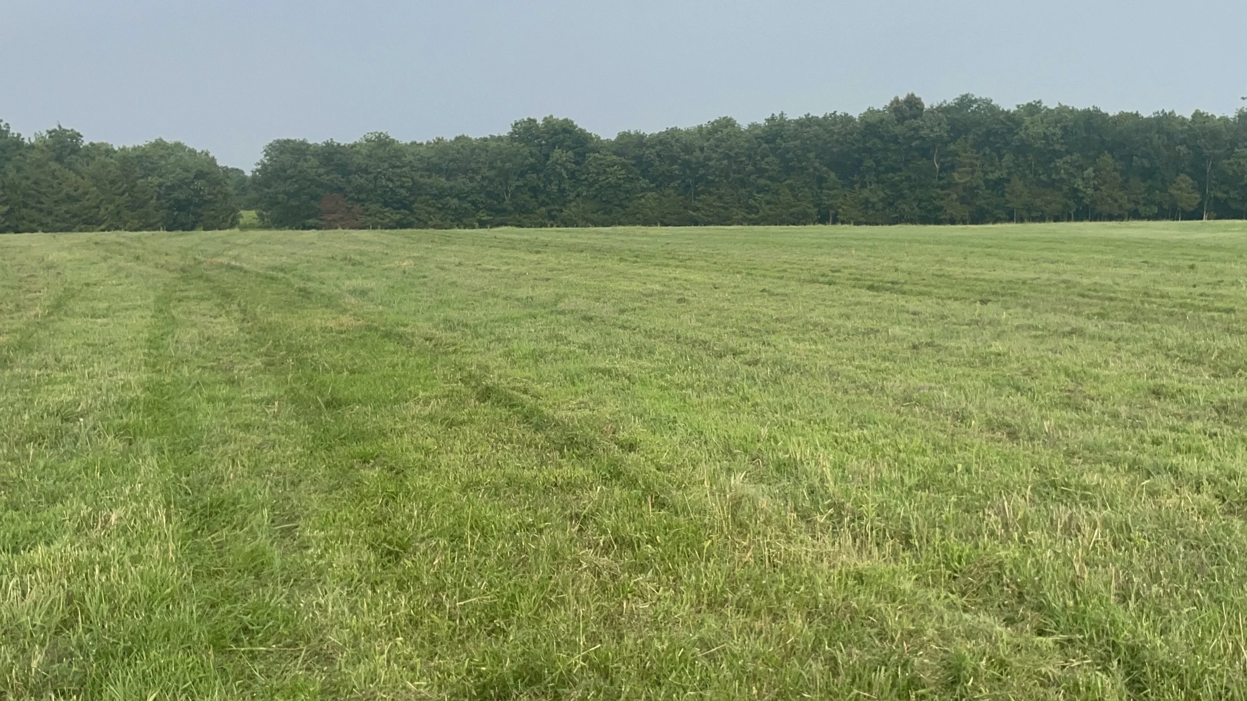 32_Pasture.JPG