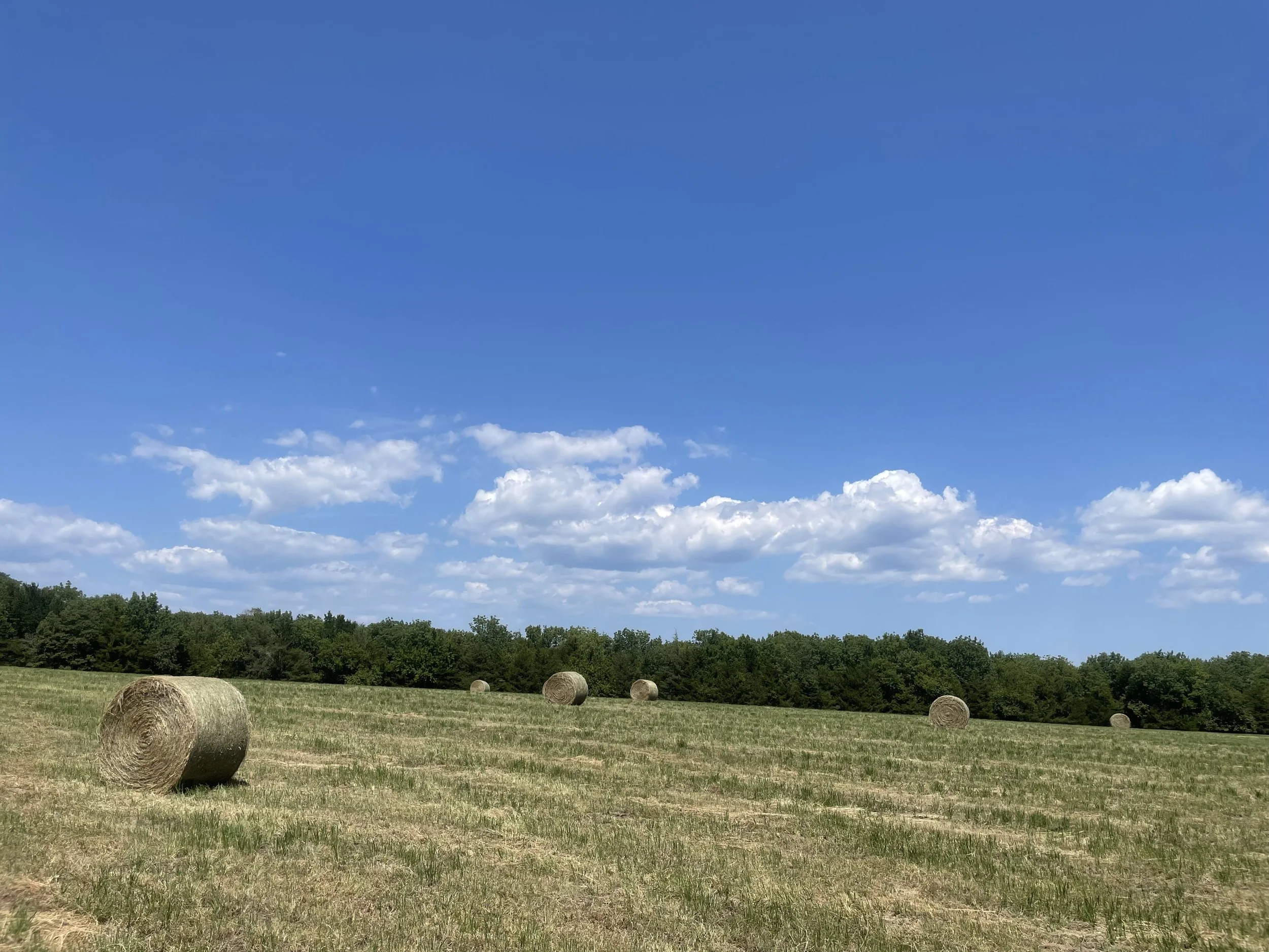 34_Hay Bales.jpeg