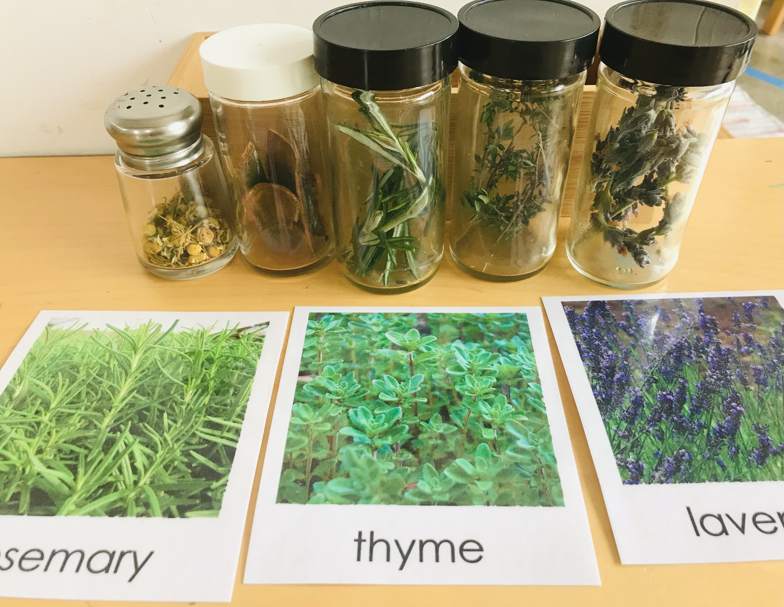 HERBS.jpg